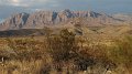 IMG_0011