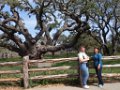 TLAS Birders at Big Oak